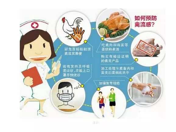 感染高危型hpv补硒(hpv阳性补充硒)-硒宝网