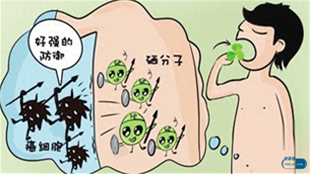 补硒推荐什么牌子药品（药店的补硒产品哪个好）-硒宝网