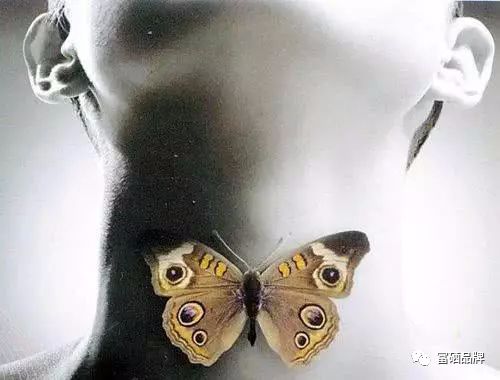 甲状腺补哪个牌子的硒（牌子补甲状腺硒片有哪些）-硒宝网