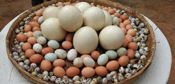 补硒好还是谷胱甘肽好（谷胱甘肽补水吗）-硒宝网