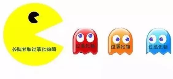 甲状腺补哪个牌子的硒（甲状腺补硒的药）-硒宝网