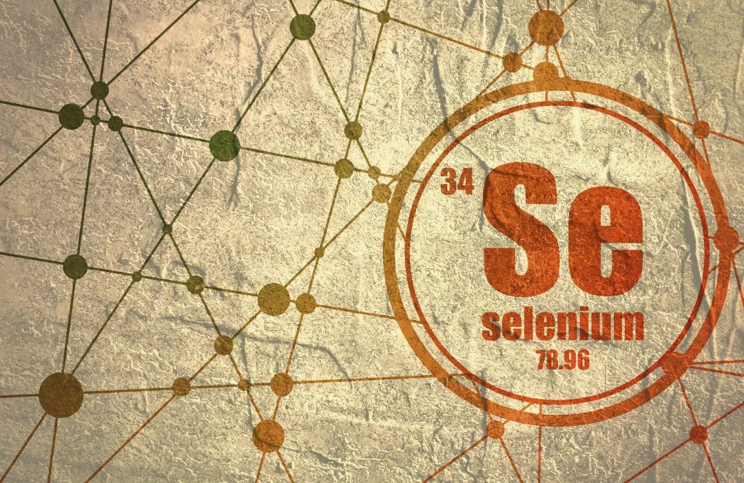 什么动物内脏补硒最多（如何补硒）-硒宝网