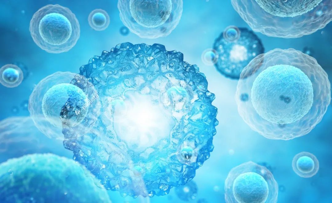 什么动物内脏补硒最多（如何补硒）-硒宝网