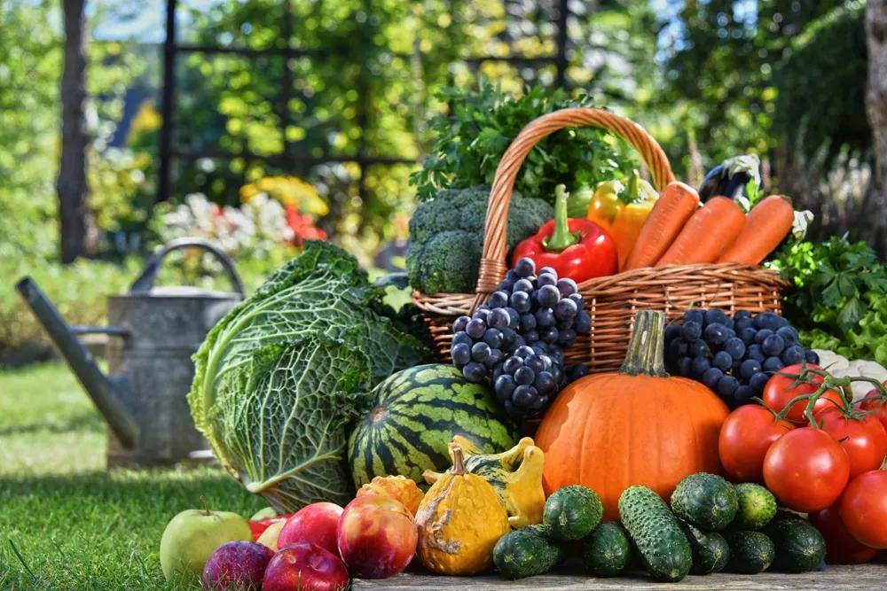 成人补硒每天多少毫克(成人补硒每天补多少量)-硒宝网