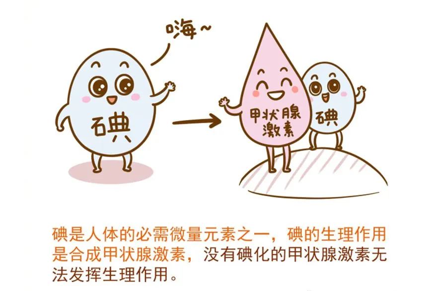 甲亢补硒元素多少毫克(补硒对甲亢有好处吗)-硒宝网