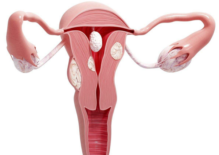 hpv高危需要补硒吗(hpv高危阳性吃硒片有用吗)-硒宝网