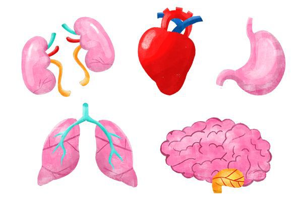 人体补硒每天最低多少(缺硒地区的人应该天天补硒吗)-硒宝网