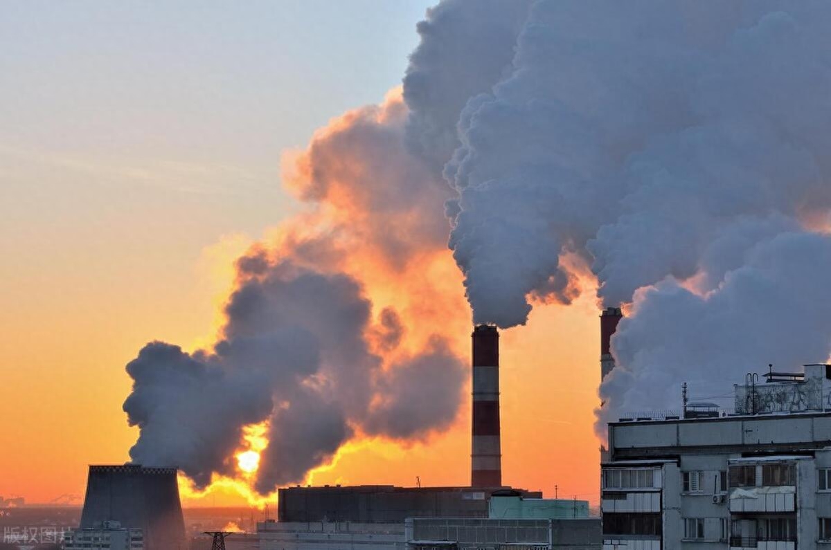 补充硒元素补什么最好（补充硒元素的最好的药品）-硒宝网