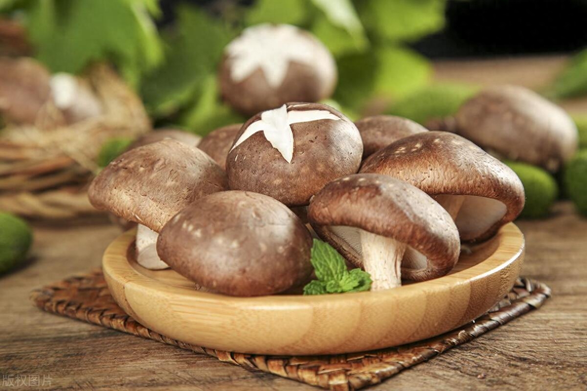 补充硒元素补什么最好（补充硒元素的最好的药品）-硒宝网