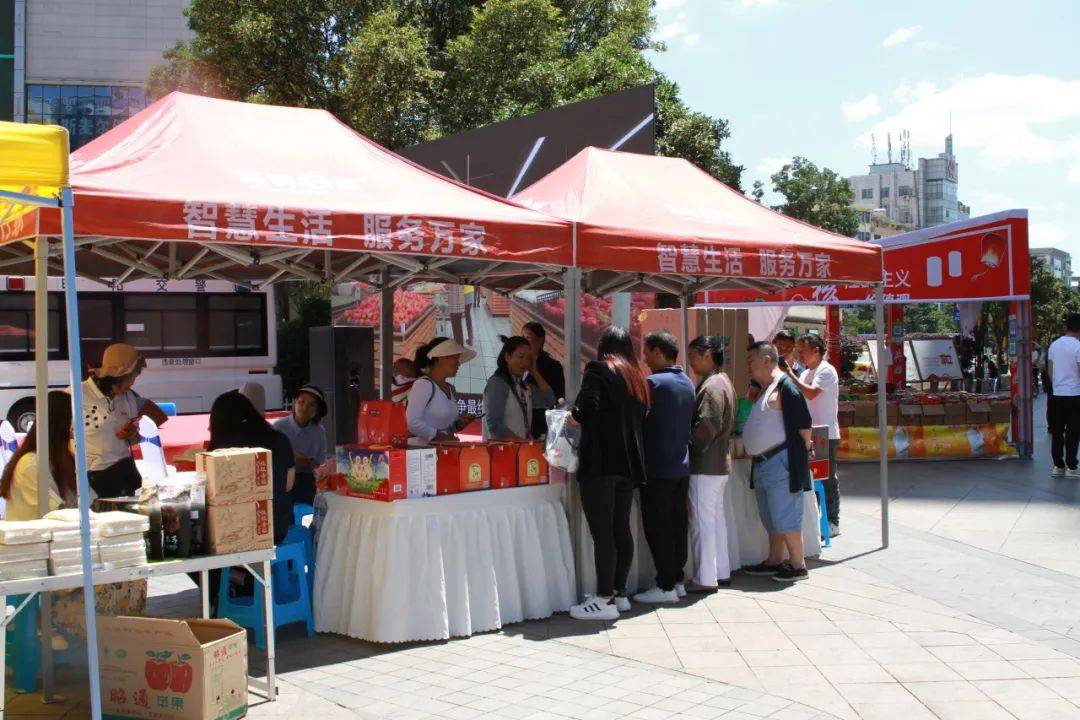 科学补硒主题活动计划（如何科学补硒）-硒宝网