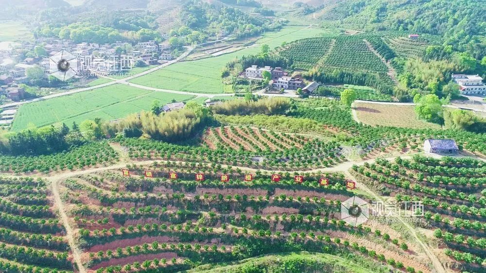 马匹补硒中毒什么症状(中毒症状马匹补硒有用吗)-硒宝网