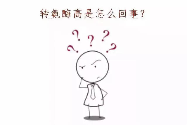 转氨酶偏高补硒能降吗(转氨酶高可以补钙吗)-硒宝网