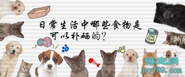 什么季节补硒效果最好(每年什么季节补硒好)-硒宝网