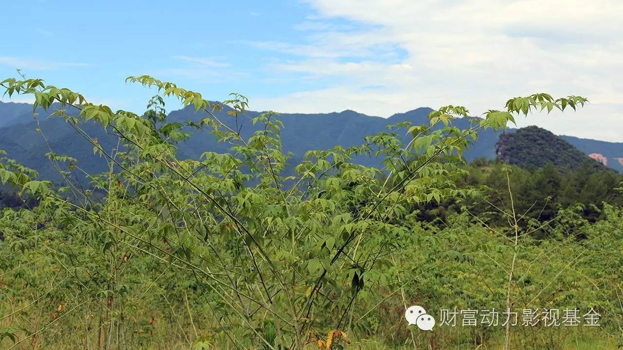 白癜风需要补硒的药物(新硒望科学补硒协会)-硒宝网