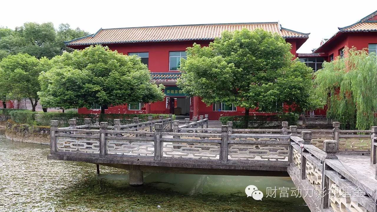 白癜风需要补硒的药物(新硒望科学补硒协会)-硒宝网