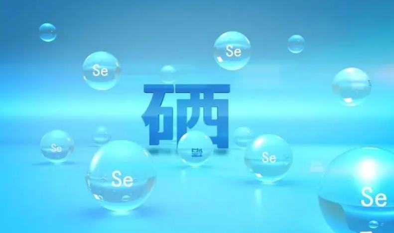 补硒性价比最高的食物(什么食物硒元素高)-硒宝网