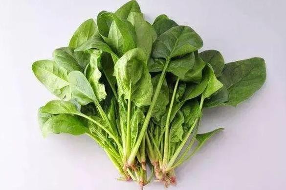 补硒性价比最高的食物(什么食物硒元素高)-硒宝网