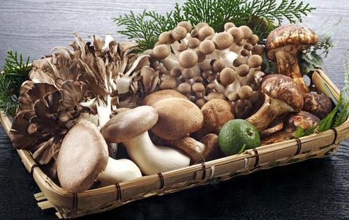 转氨酶偏高补硒能降吗(谷丙转氨酶升高可以吃硒片吗)-硒宝网