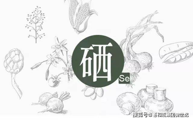 每天补硒降甲状腺抗体(每天抗体降补甲状腺硒多少)-硒宝网