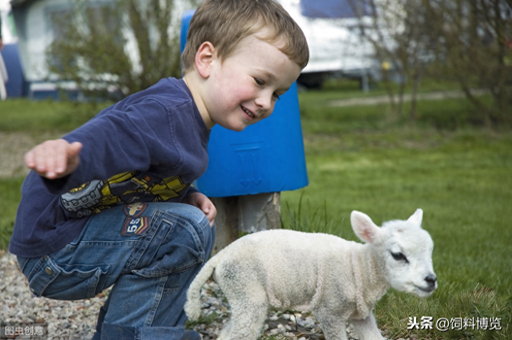 补硒对甲状腺结节好处（甲状腺结节吃硒片好吗）-硒宝网