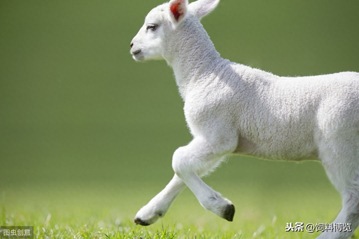 补硒对甲状腺结节好处（甲状腺结节吃硒片好吗）-硒宝网