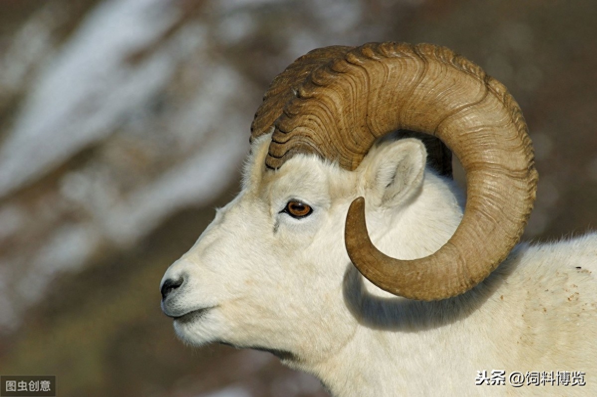 补硒对甲状腺结节好处（甲状腺结节吃硒片好吗）-硒宝网