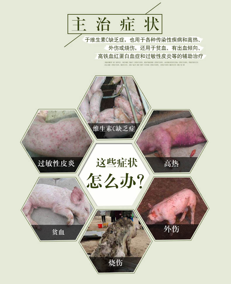 仔猪补硒过敏什么症状（仔猪硒缺乏症）-硒宝网