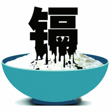 肾衰病人能否大量补硒(吃硒治疗肾衰竭)-硒宝网