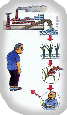 肾衰病人能否大量补硒(吃硒治疗肾衰竭)-硒宝网