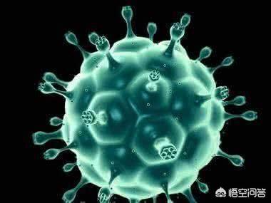 感染hpv补硒55克（感染hvp补硒效果好吗）-硒宝网