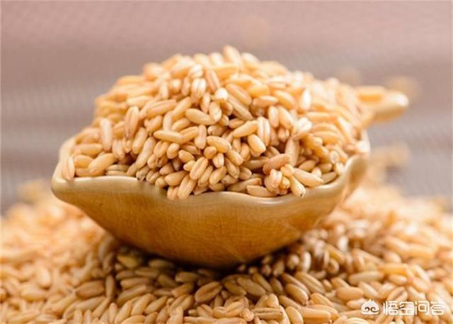 感染hpv补硒55克（感染hvp补硒效果好吗）-硒宝网