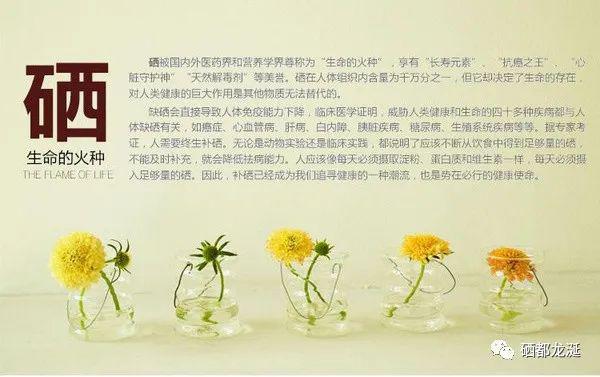 病人什么补硒最快最好(补硒人群)-硒宝网