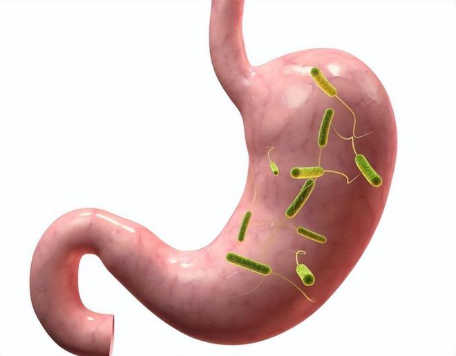 补硒元素真能抑制癌症(癌症抑制能补元素硒吗)-硒宝网