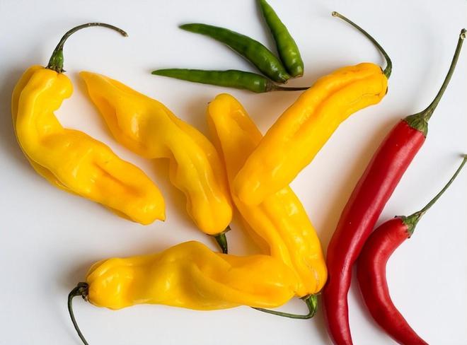 补硒元素真能抑制癌症(癌症抑制能补元素硒吗)-硒宝网