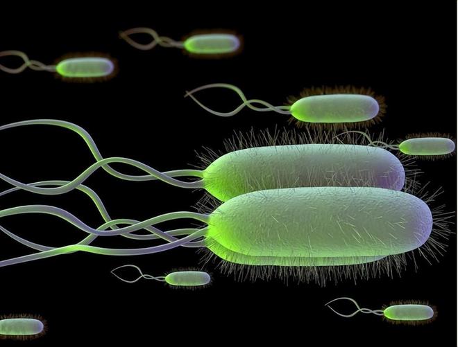 补硒元素真能抑制癌症(癌症抑制能补元素硒吗)-硒宝网