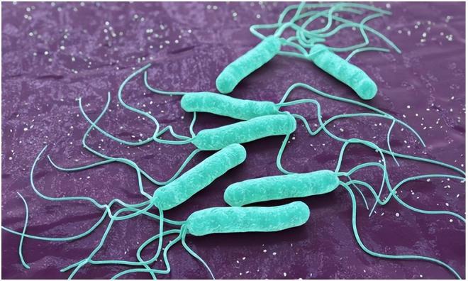 补硒元素真能抑制癌症(癌症抑制能补元素硒吗)-硒宝网