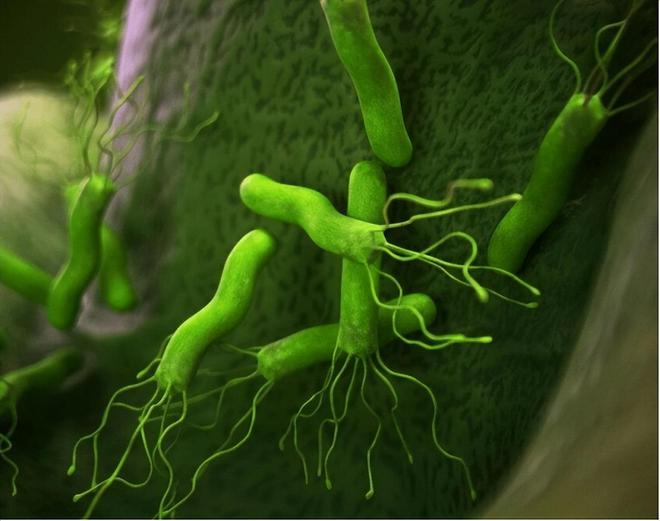 补硒元素真能抑制癌症(癌症抑制能补元素硒吗)-硒宝网