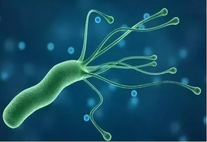 补硒元素真能抑制癌症(癌症抑制能补元素硒吗)-硒宝网