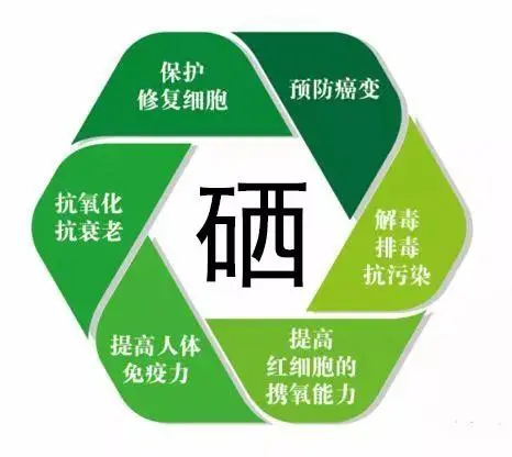 甲亢每天补多少硒合适（每天合适补甲亢硒片吗）-硒宝网