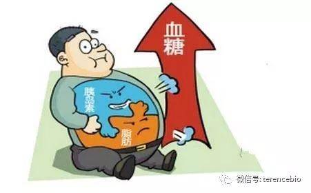 心肌衰竭的人怎么补硒(补心肌衰竭硒人参有用吗)-硒宝网