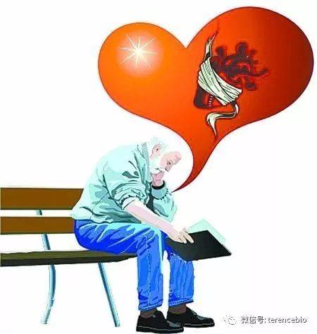 心肌衰竭的人怎么补硒(补心肌衰竭硒人参有用吗)-硒宝网