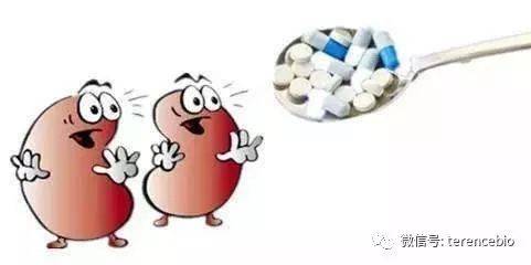 心肌衰竭的人怎么补硒(补心肌衰竭硒人参有用吗)-硒宝网