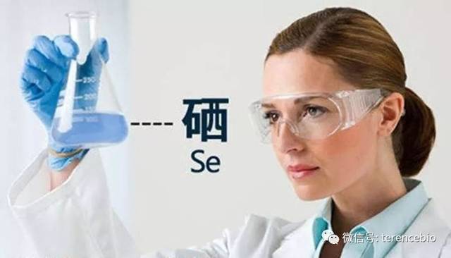 心肌衰竭的人怎么补硒(补心肌衰竭硒人参有用吗)-硒宝网