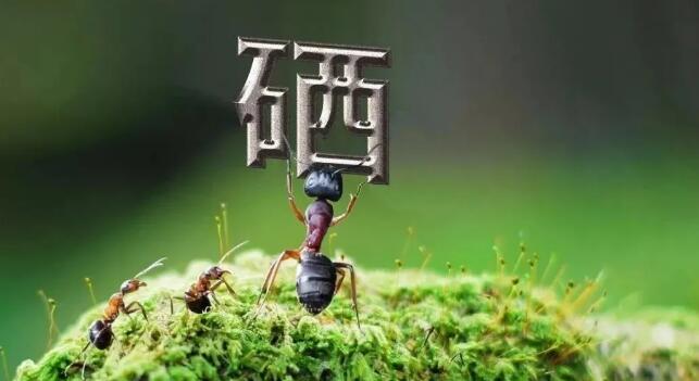 国家提倡全民补硒日期（全民补硒日是谁规定的）-硒宝网