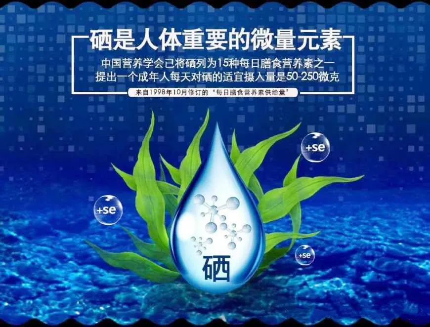 什么蔬菜可以补硒元素（蔬菜补元素硒可以吃吗）-硒宝网