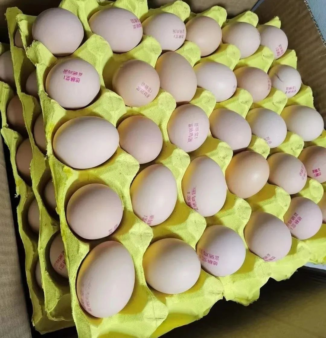 什么蔬菜可以补硒元素（蔬菜补元素硒可以吃吗）-硒宝网