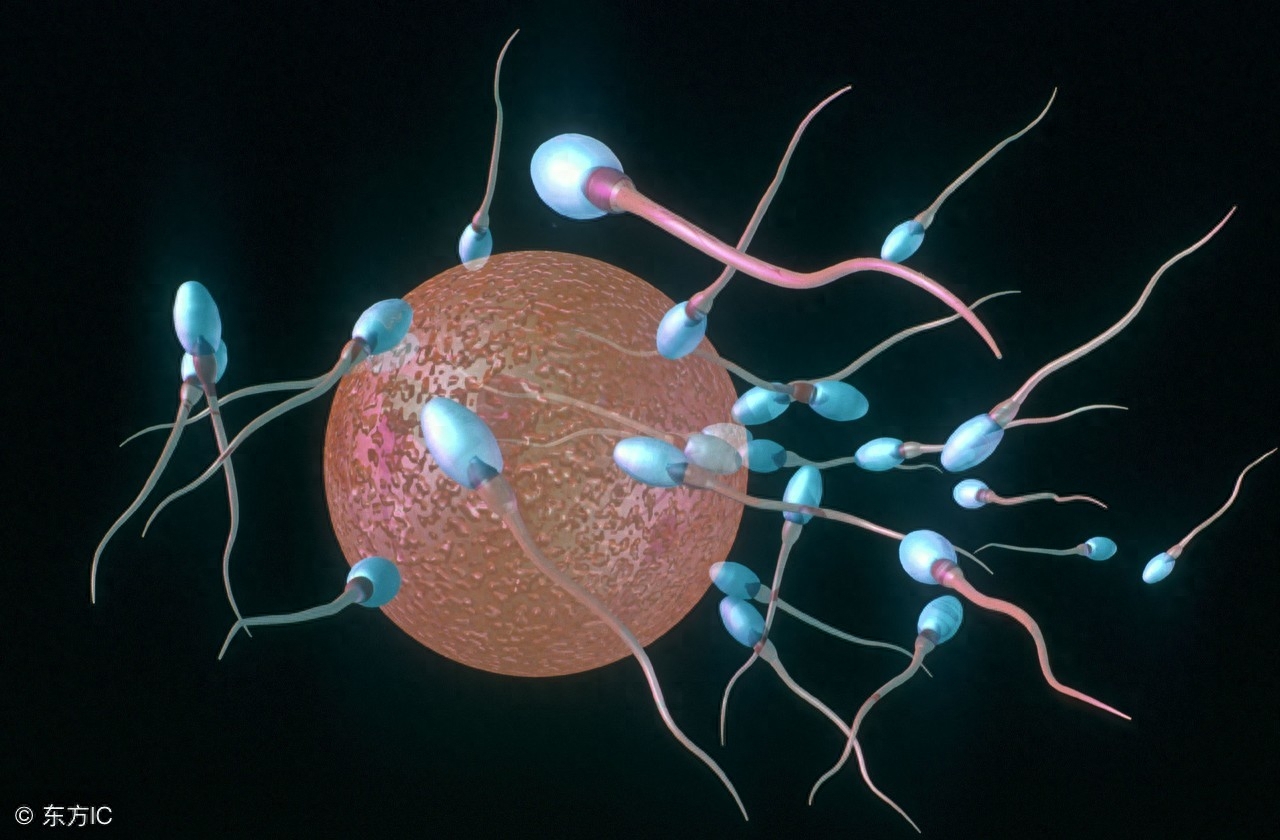 补锌补硒提升精子质量（如何快速提升精子质量）-硒宝网