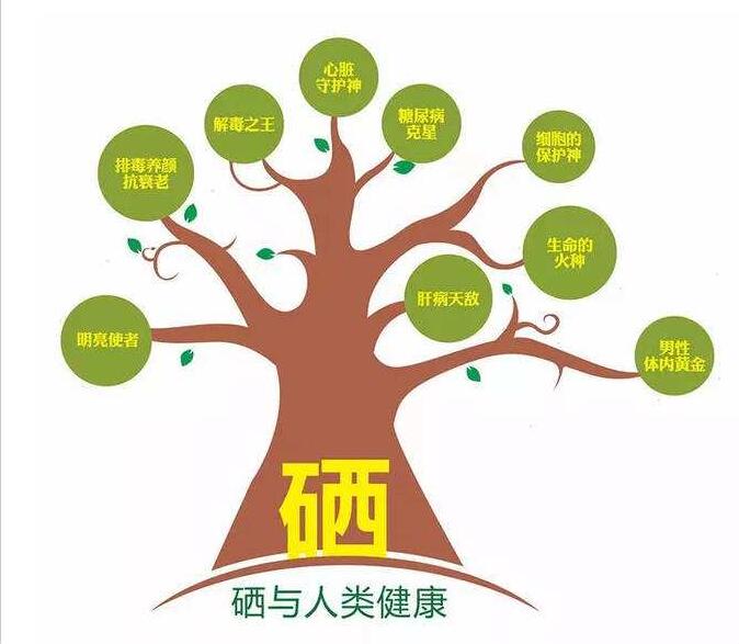 老人补硒 推荐什么药（老年人补硒买什么品牌好）-硒宝网