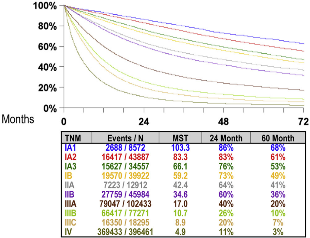 肺癌早期术后需要补硒(肺癌术后用补硒吗)-硒宝网