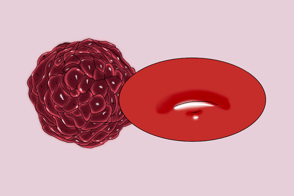 老人补硒 推荐什么药（老年人补硒的重要性）-硒宝网